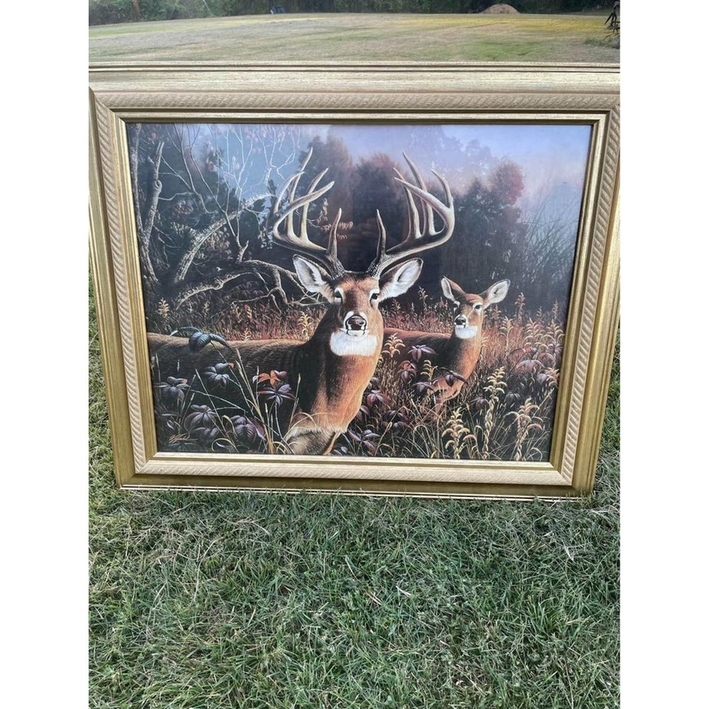 Deer and Buck print from Bernard Fine Arts win gold Frame